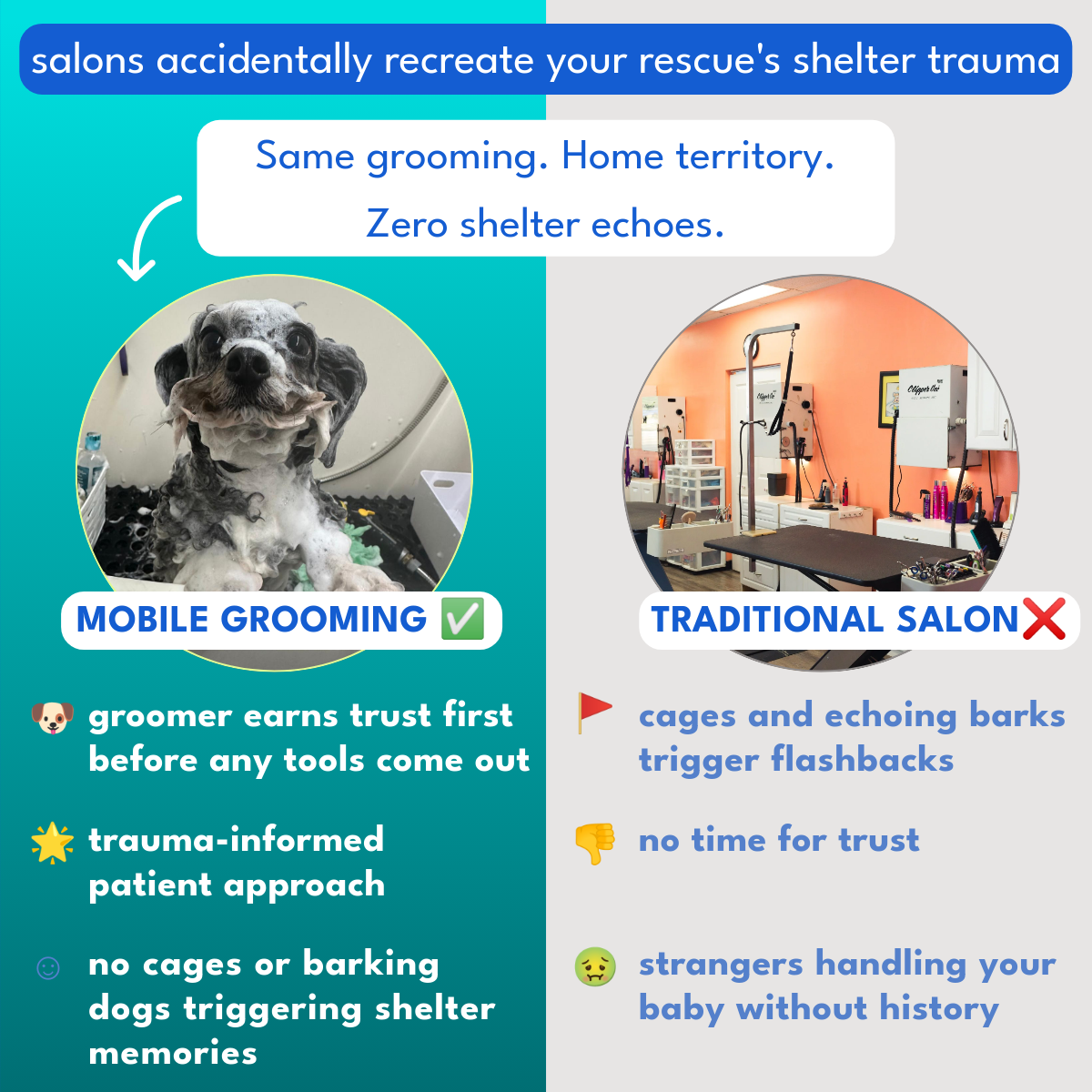 Pawradisego Mobile Grooming Facebook ad: Stress-Free Dog Grooming, Now at Your Doorstep