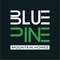 Blue Pine Mountain Homes
