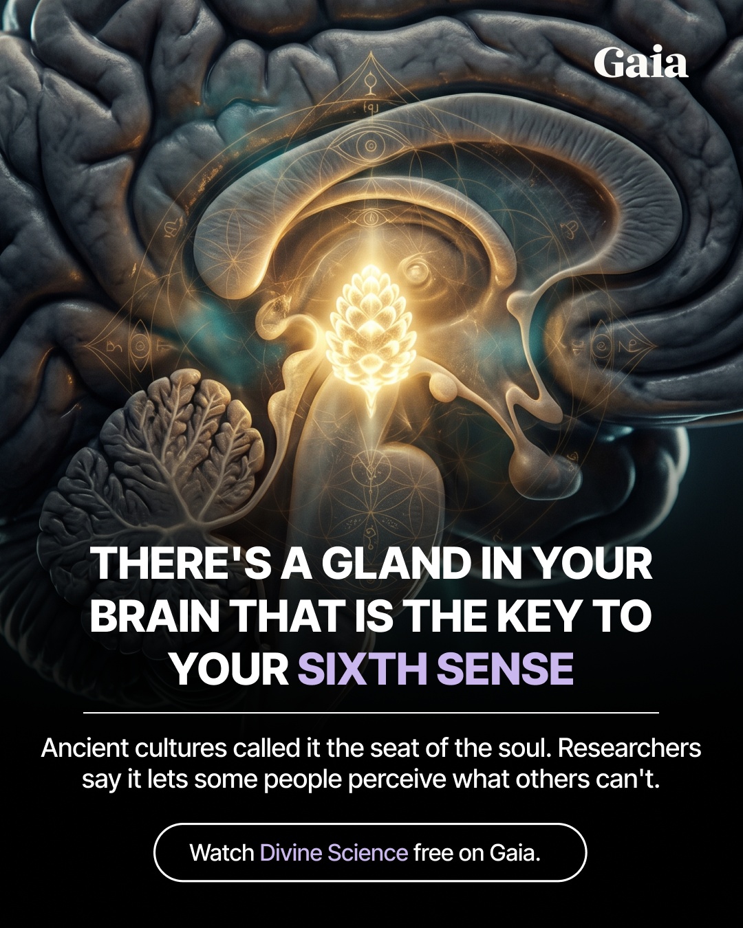 Ava Nervous System Healing Facebook ad