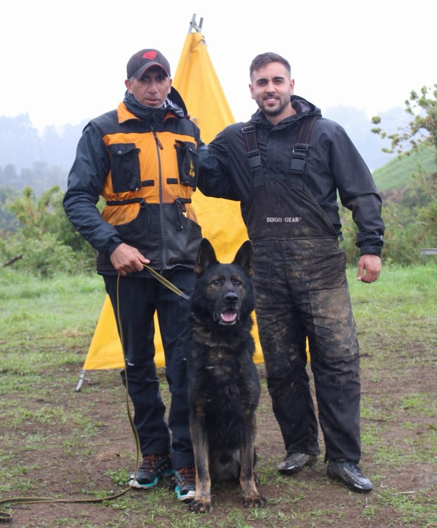 Guía Osorno, Comercios y Servicios Facebook ad: Javier Alvarado ofrece Adiestramiento Canino