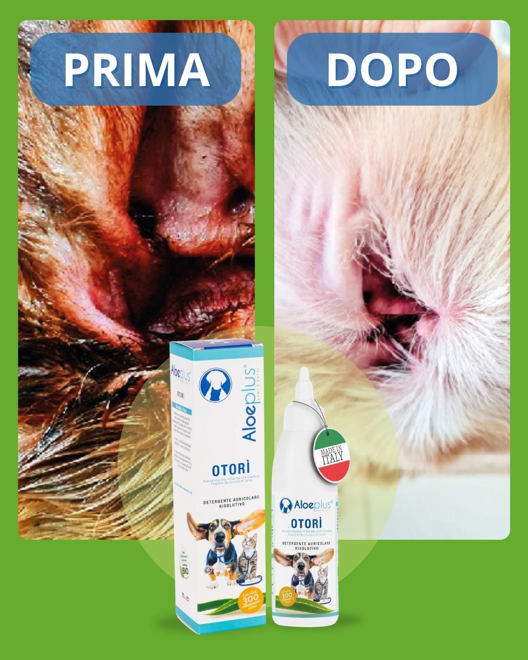 Aloeplus cani e gatti ad creative