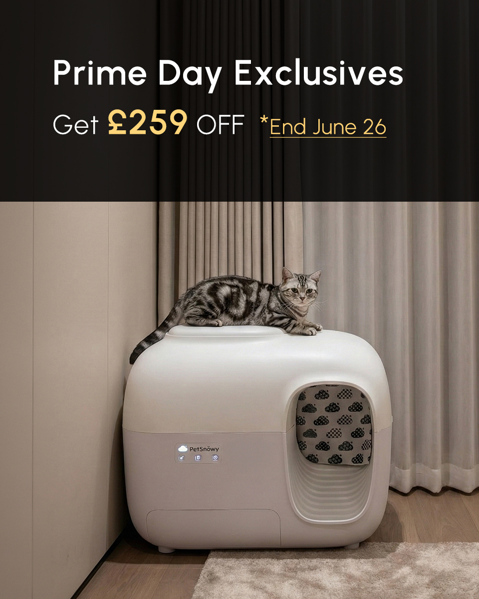 PetSnowy Facebook ad
