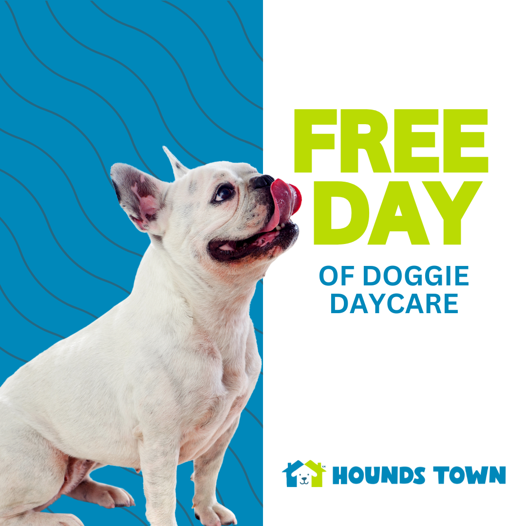 Hounds Town Commack Rd. Facebook ad from May 6, 2026