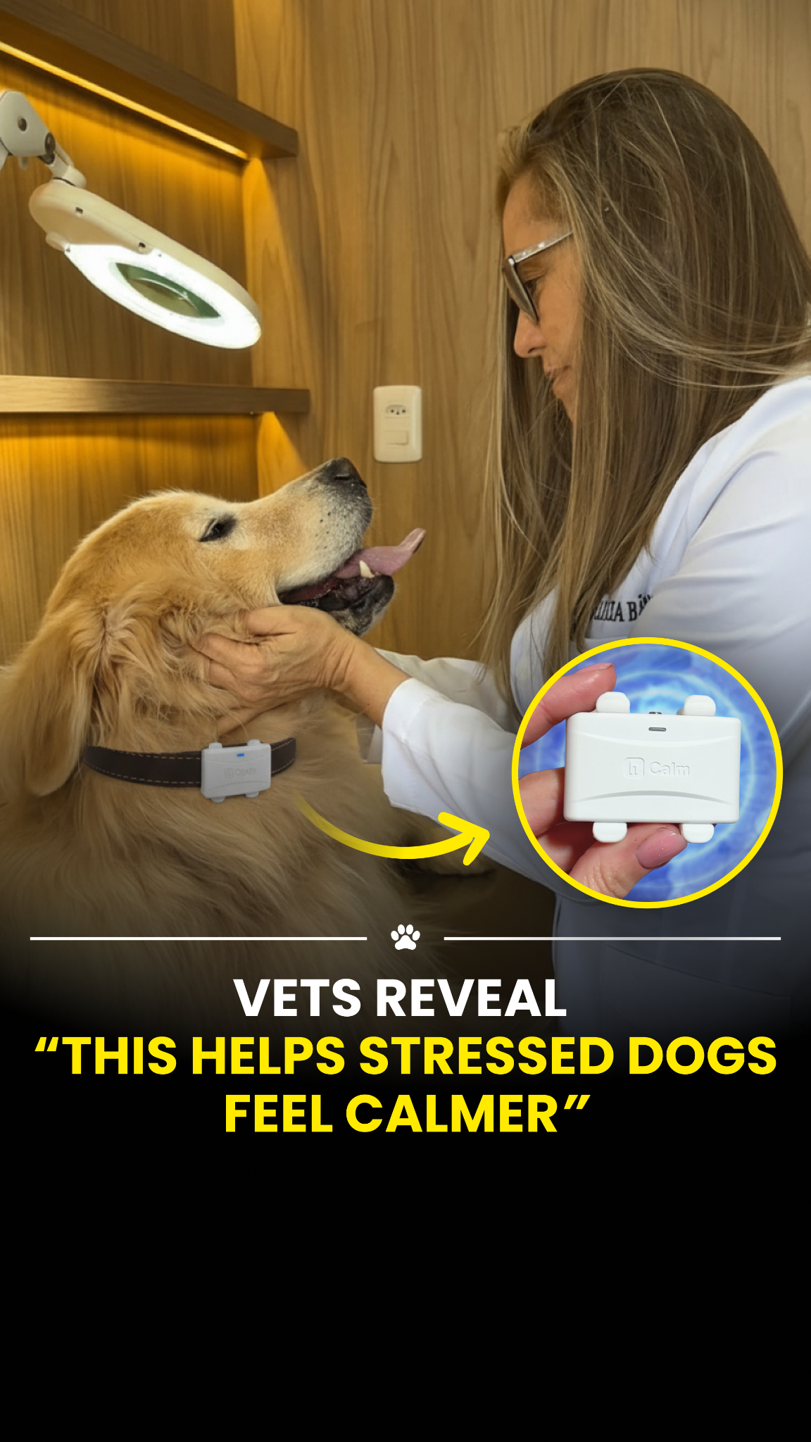 Animal Science Today Facebook ad