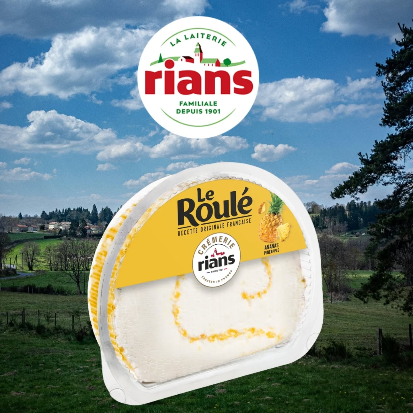 Delicatessen Facebook ad: Сыр Le Roulé с кусочками ананаса- это изысканный…
