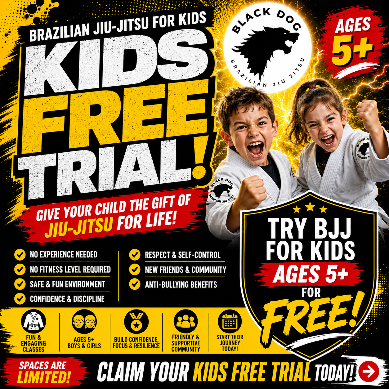 Black Dog Brazilian Jiu Jitsu Facebook ad: Anti-Bullying. Confidence. Discipline. FREE Trial.