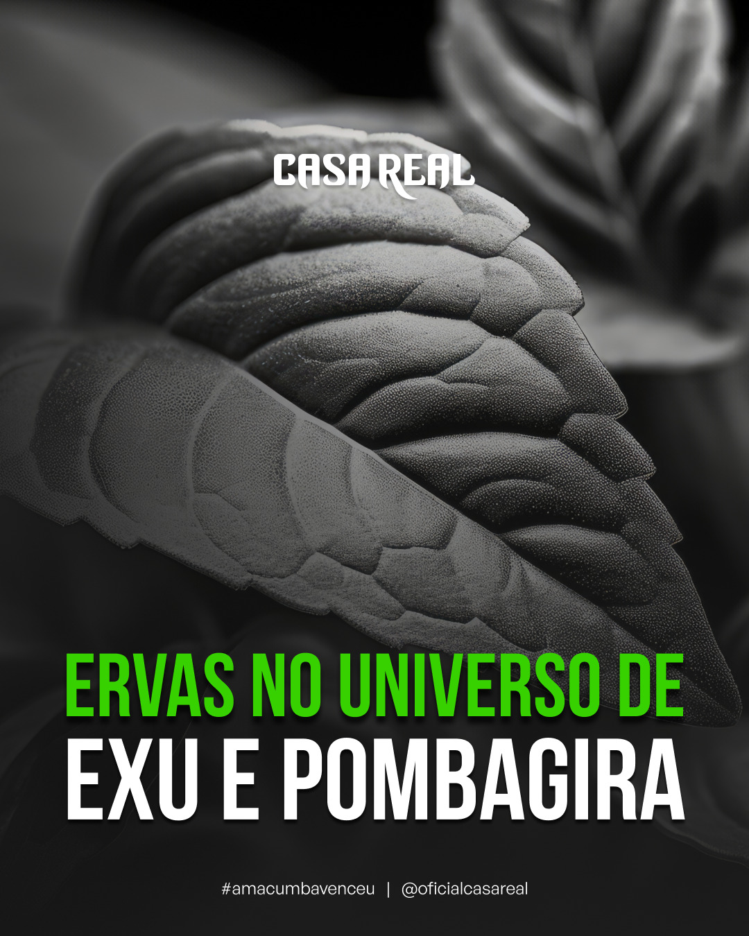 Casa Real - Jorge Scritori Facebook ad: Ervas no Universo de Exu e Pombagira