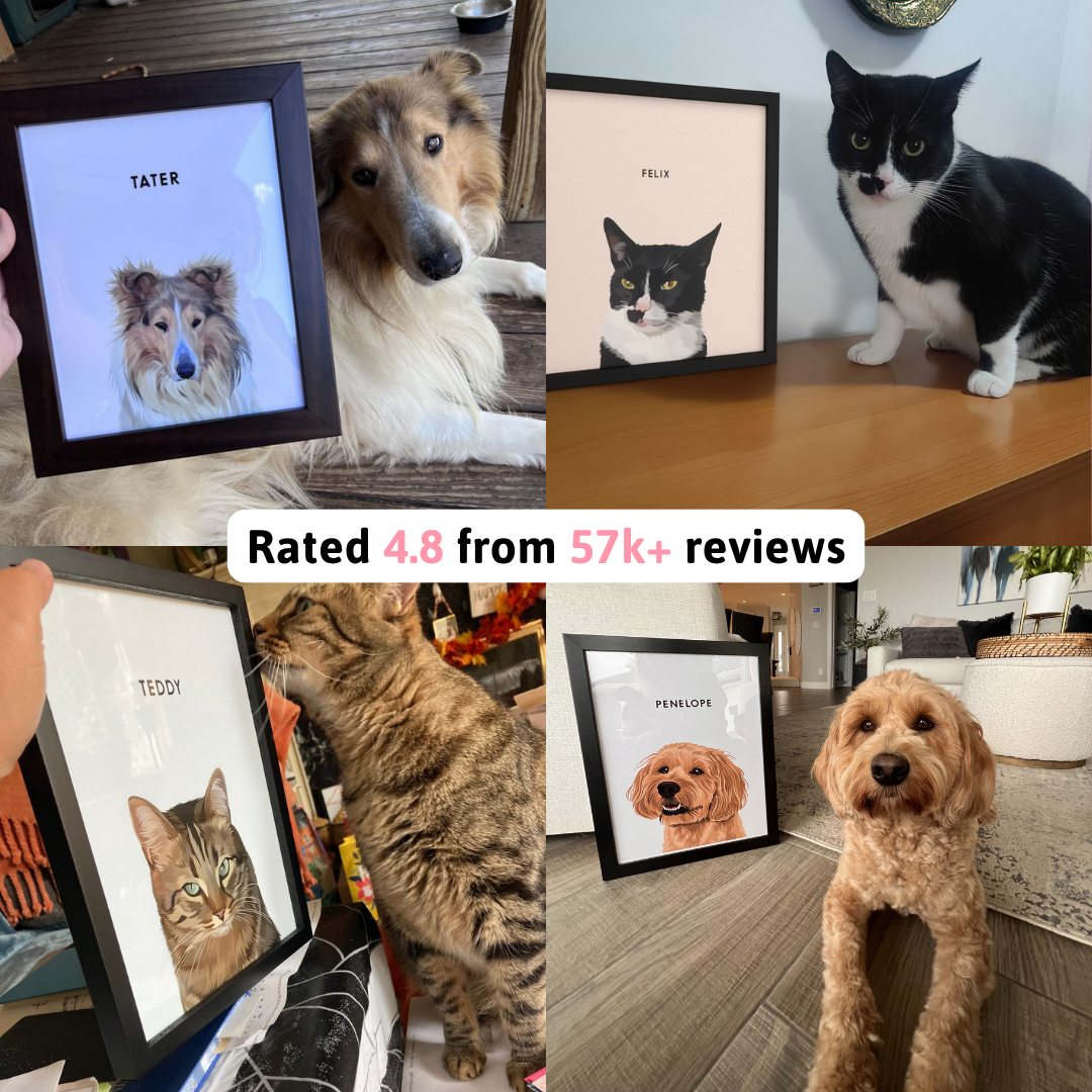 Crown & Paw Facebook ad