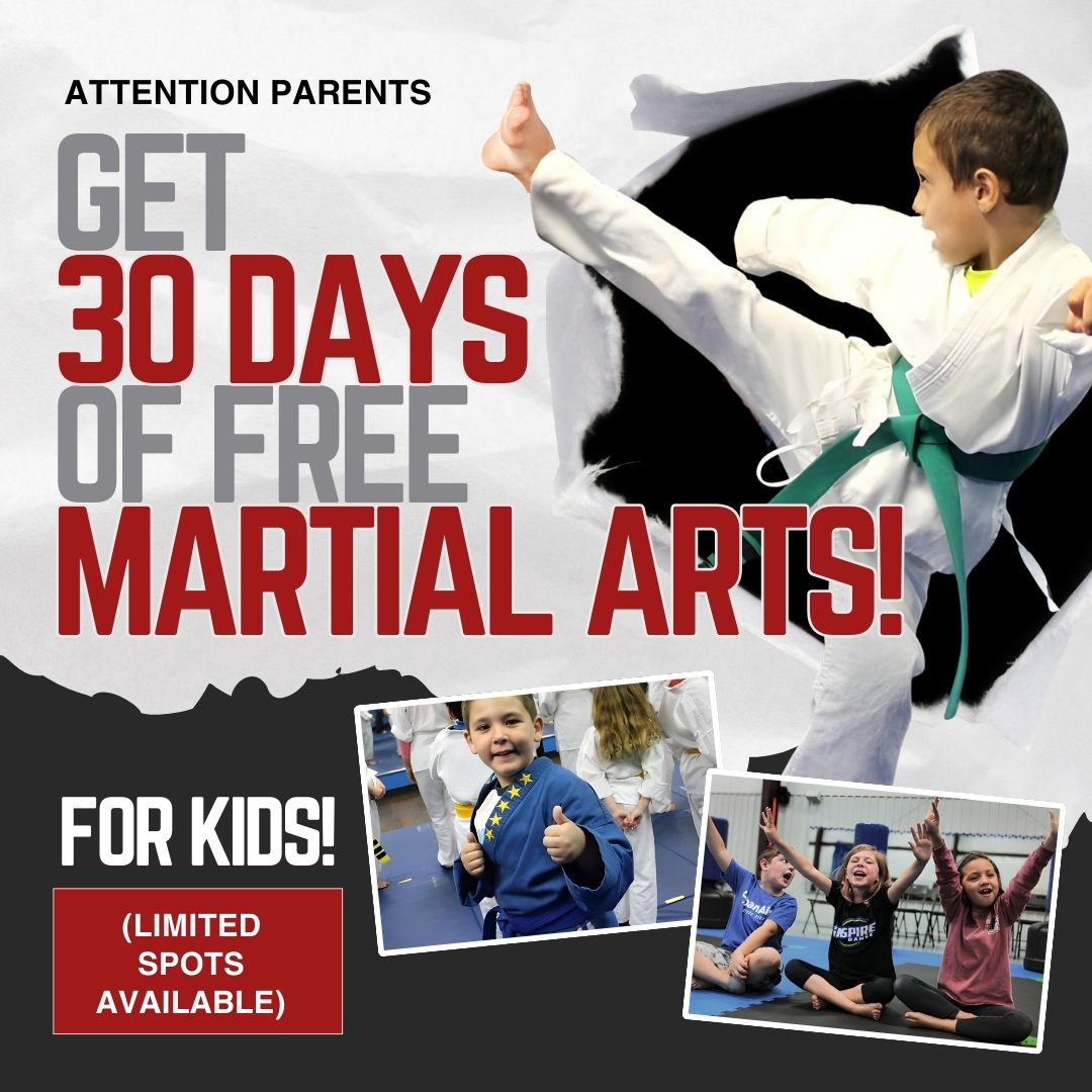 Victory Martial Arts Facebook ad