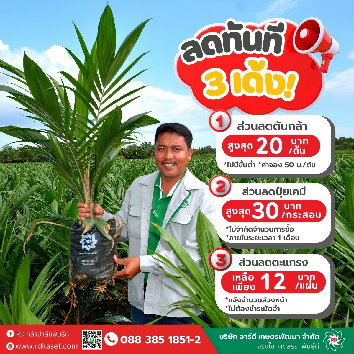 RD กล้าปาล์มพันธุ์ดี Facebook ad: หากคุณกำลังมองหา กล้าปาล์มผลผลิตสูง ปุ๋ยเคมีคุณภาพ…