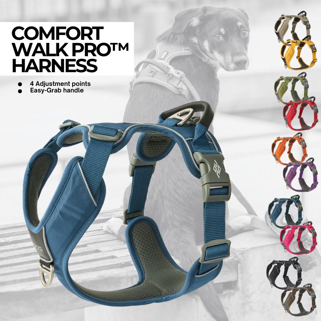 DOG Copenhagen Facebook ad: High Quality Dog Gear