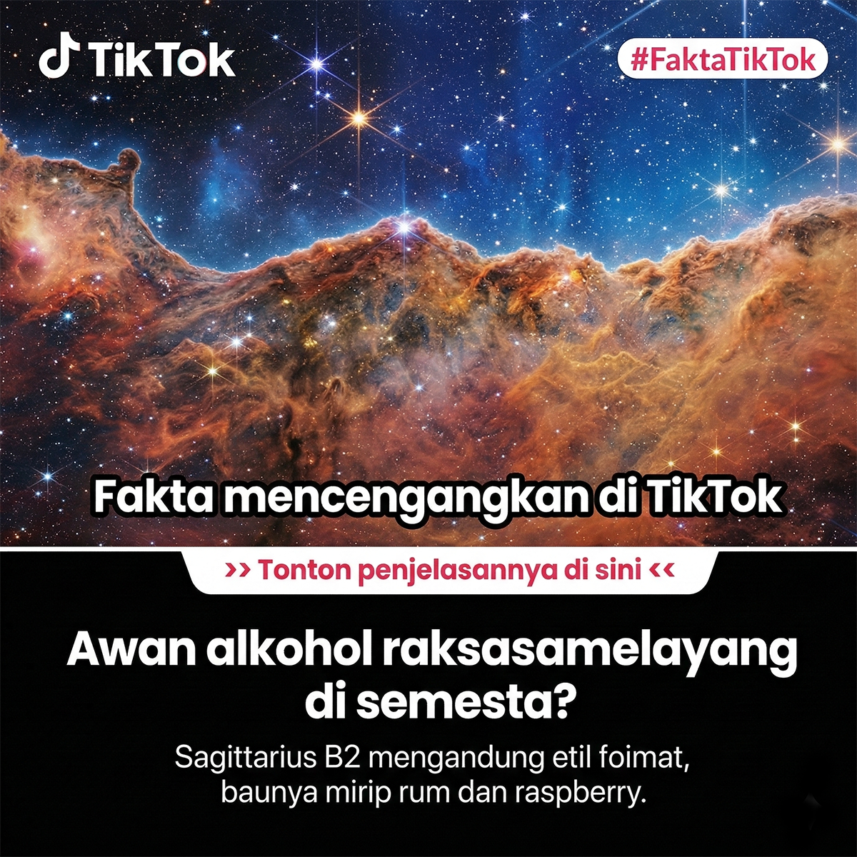 TikTok Global Facebook ad