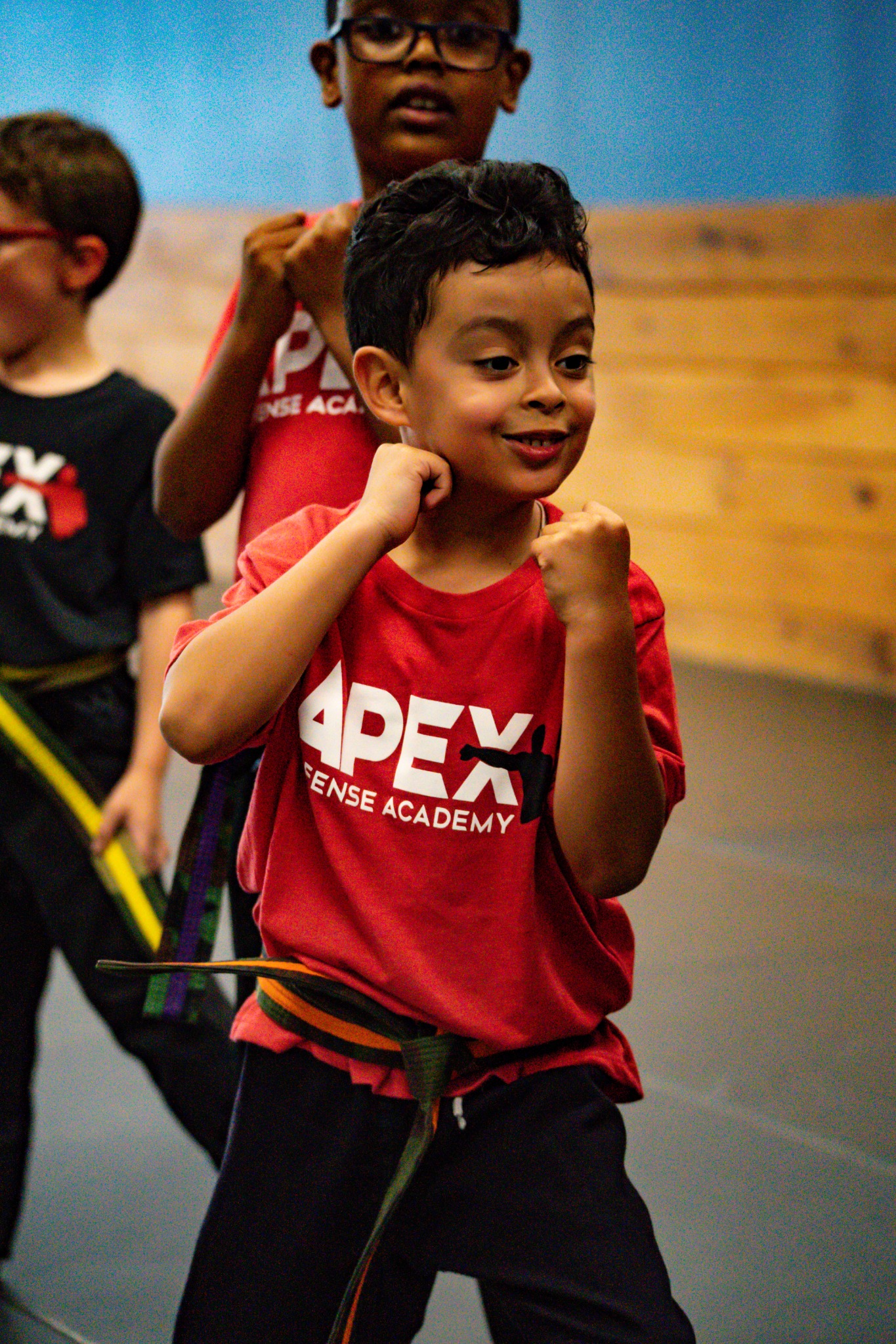 Apex Defense Academy HQ Waltham Facebook ad: Karate Classes for Ages 6 to 8