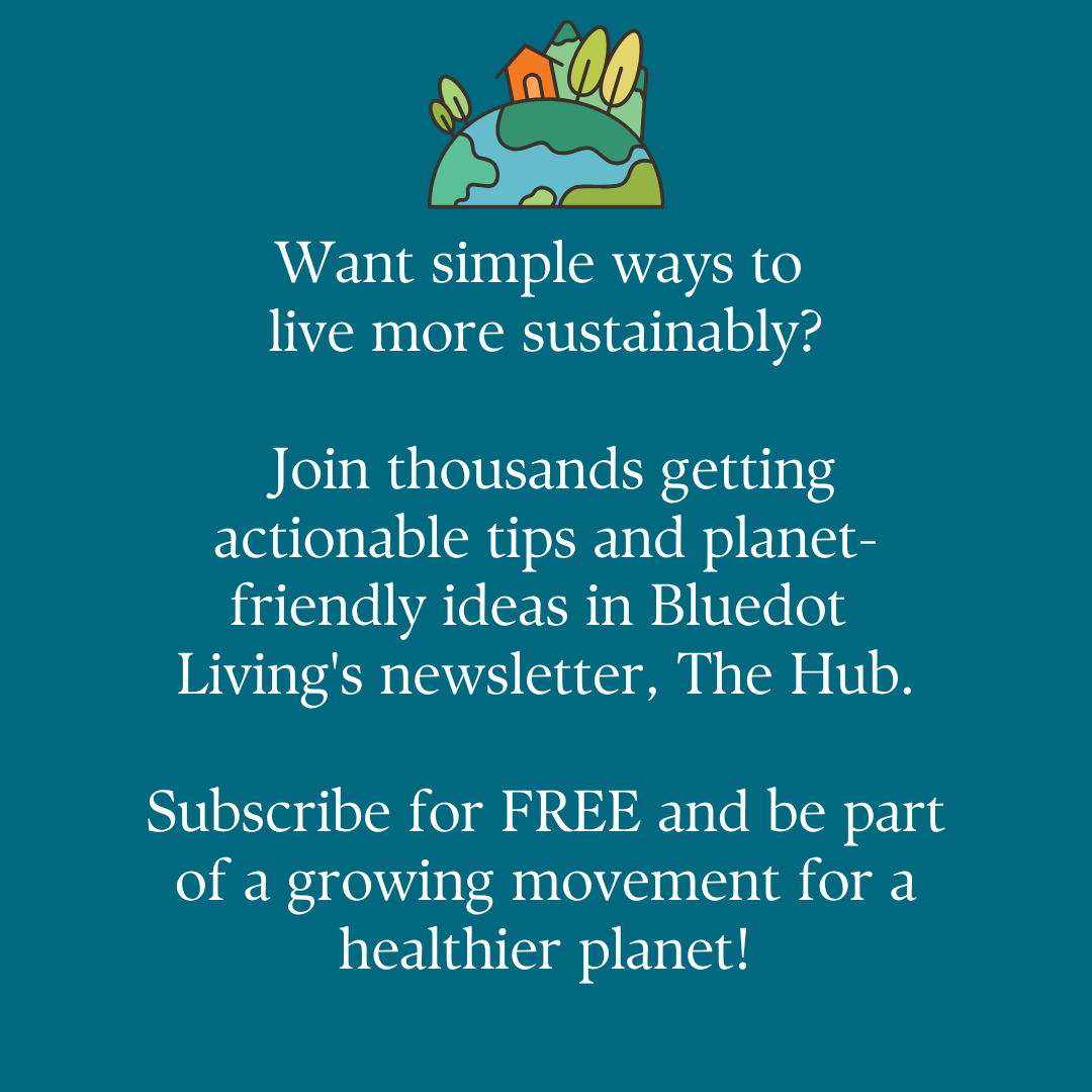 Bluedot Living  Facebook ad