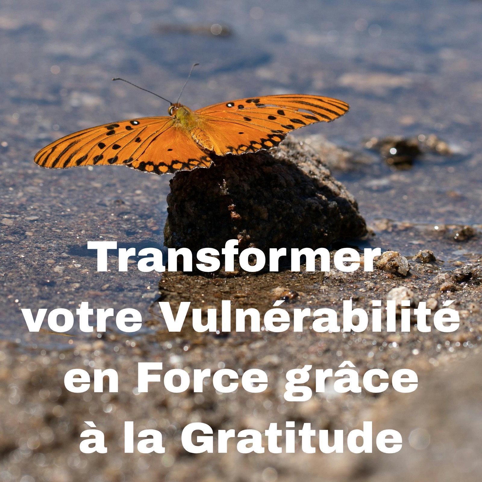 Mindful & Happy Facebook ad: Et si votre vulnérabilité devenait un chemin vers…