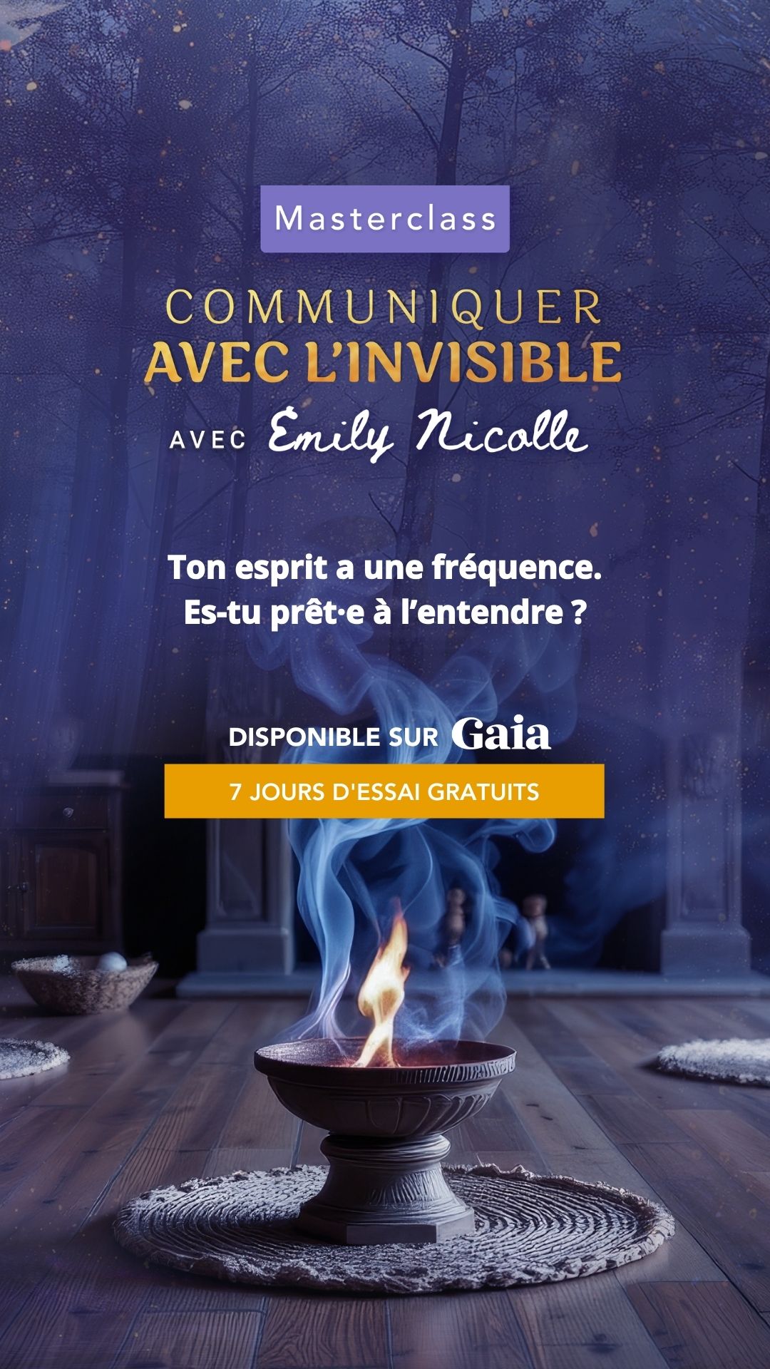 Nous Sommes Gaia Facebook ad