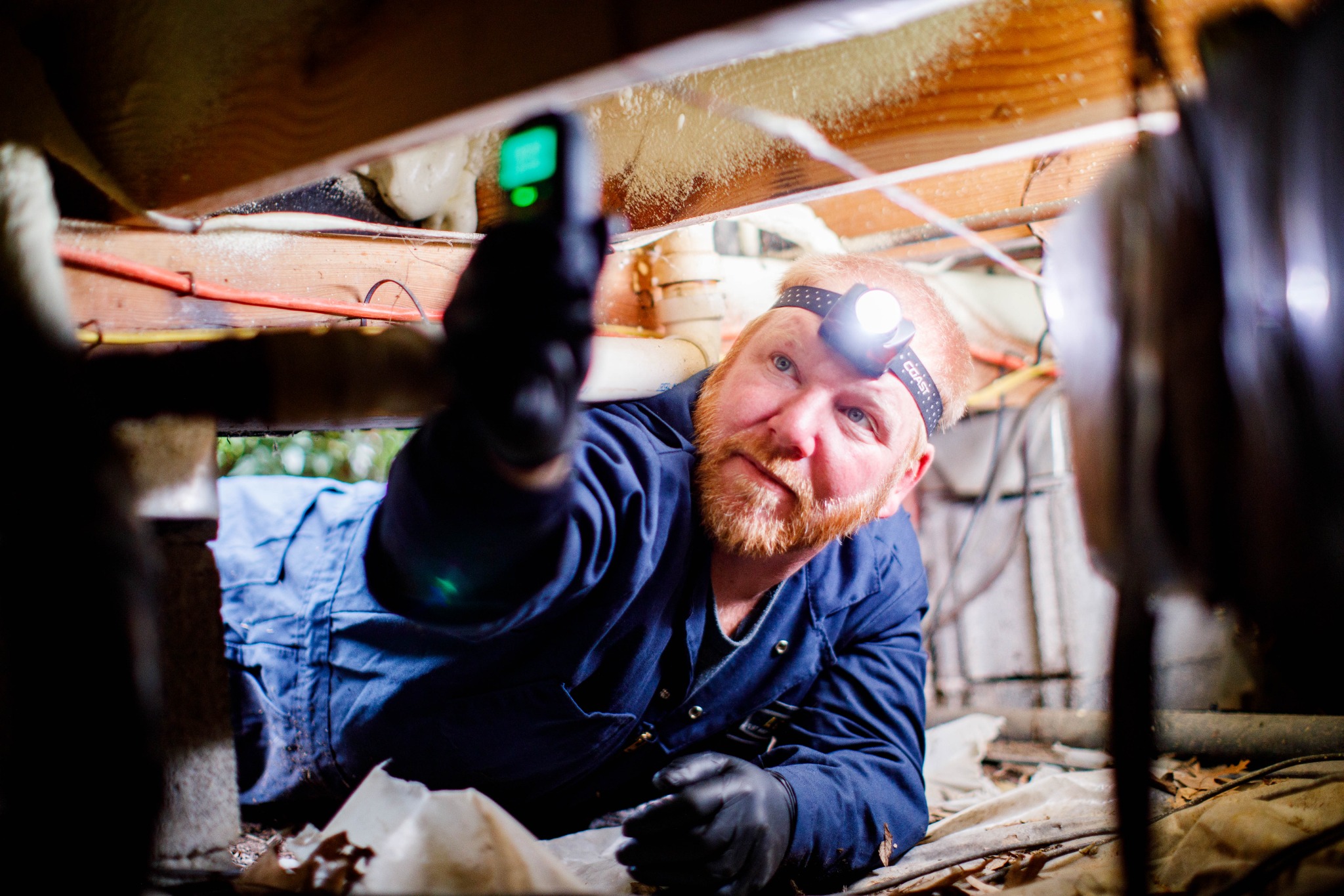 Accel Pest & Termite Control Facebook ad