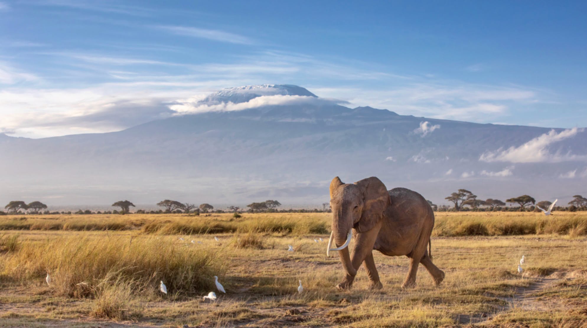 Women In Wildlife Photography Tours Facebook ad: THE HEART OF KENYA: CLASSIC AFRICAN SAFARI - Women In…