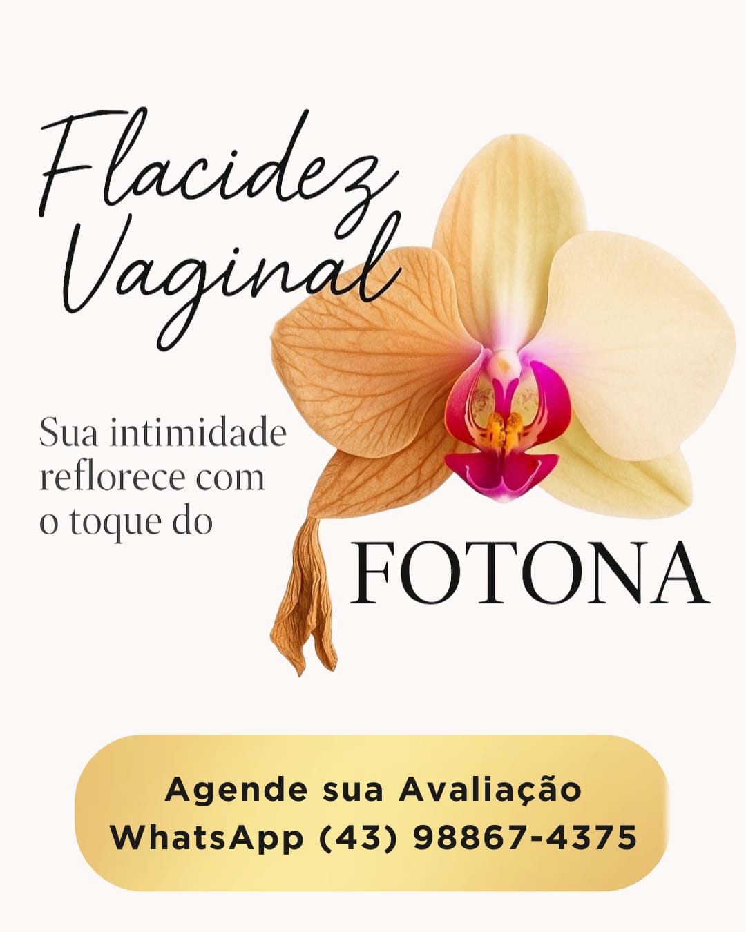 Instituto Veiga Mello Facebook ad from Oct 13, 2025