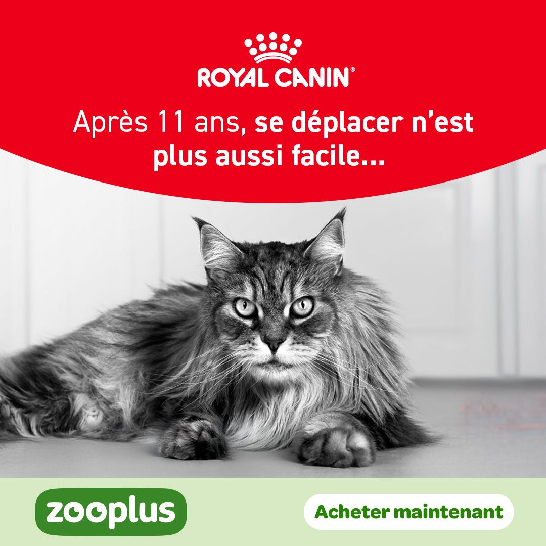 zooplus Facebook ad