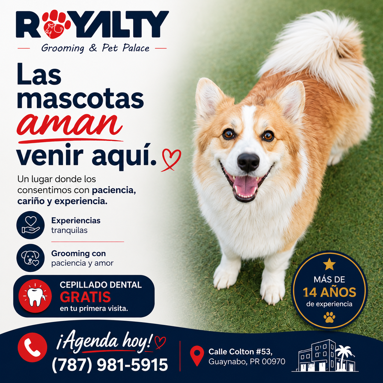 Royalty Grooming & Pet Palace Facebook ad: Agenda la cita de tu mascota hoy mismo.