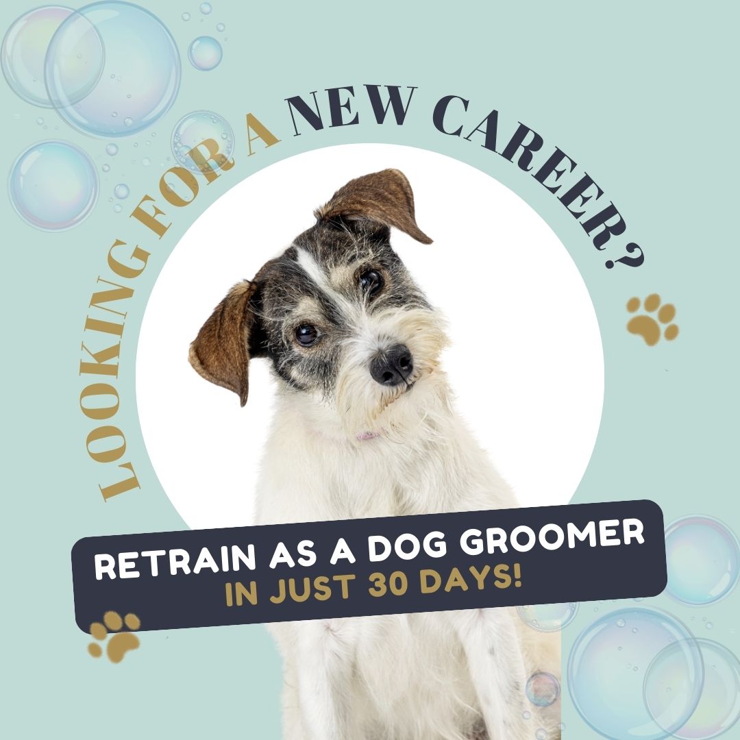 Mrs B's Dog Grooming & Grooming Academy Facebook ad
