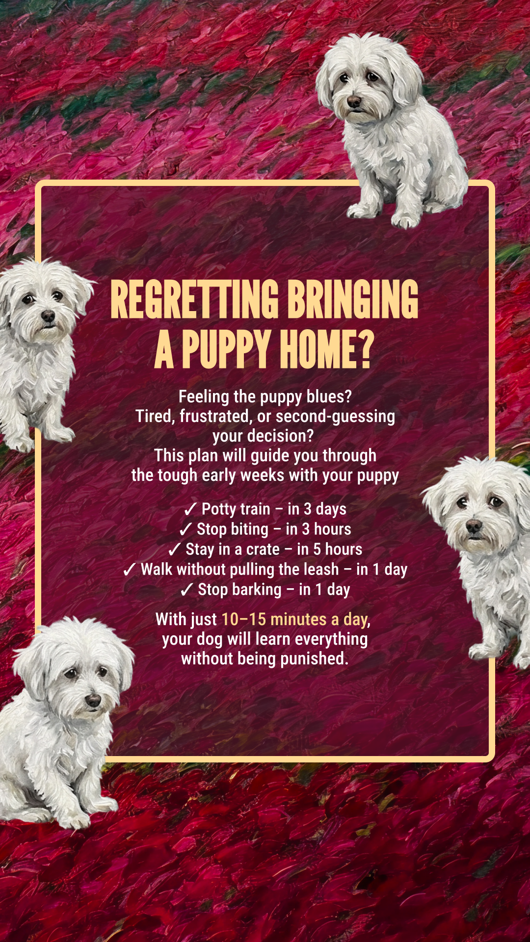 Woofz - Puppy Training Facebook ad