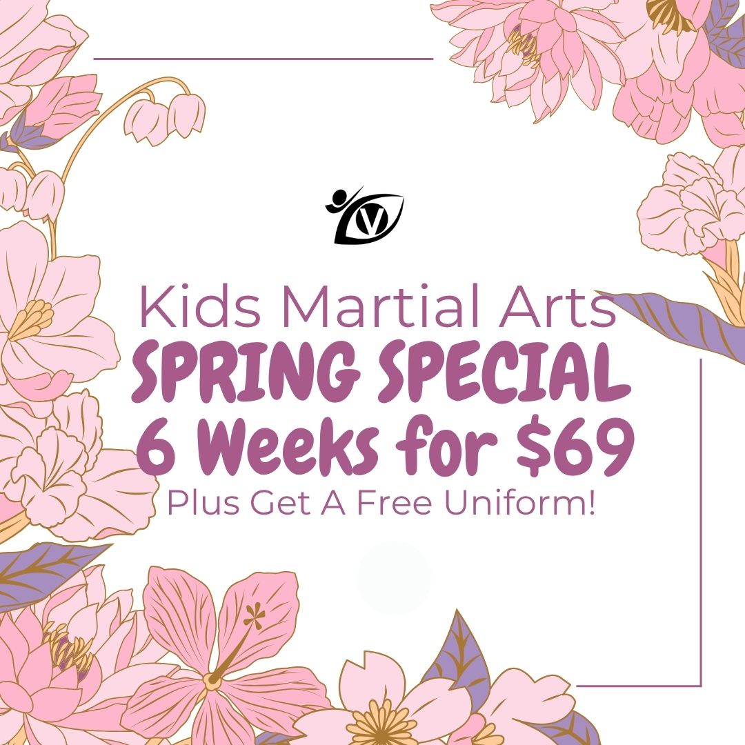 Vision Martial Arts-Morrisville Facebook ad