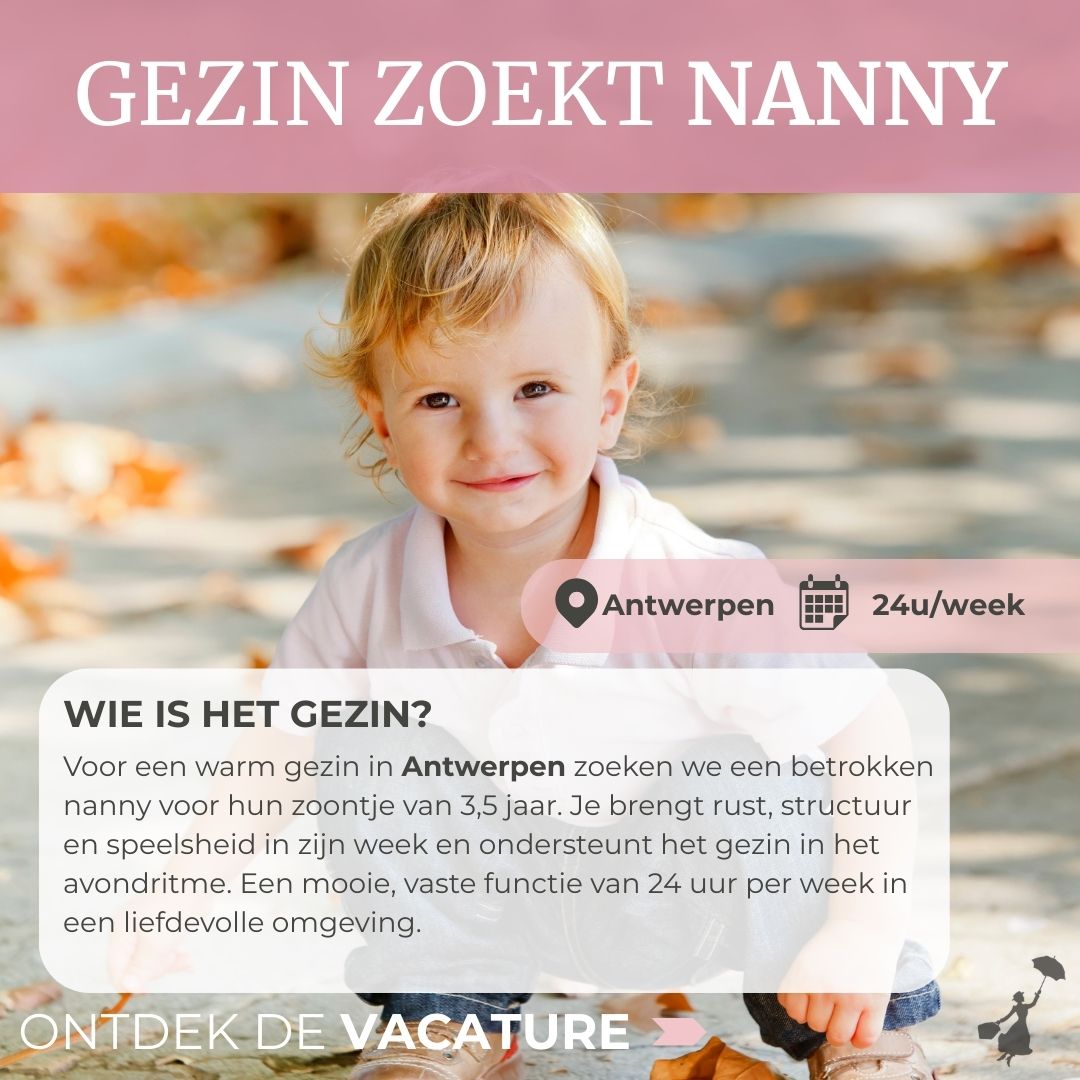 Nanny's Facebook ad
