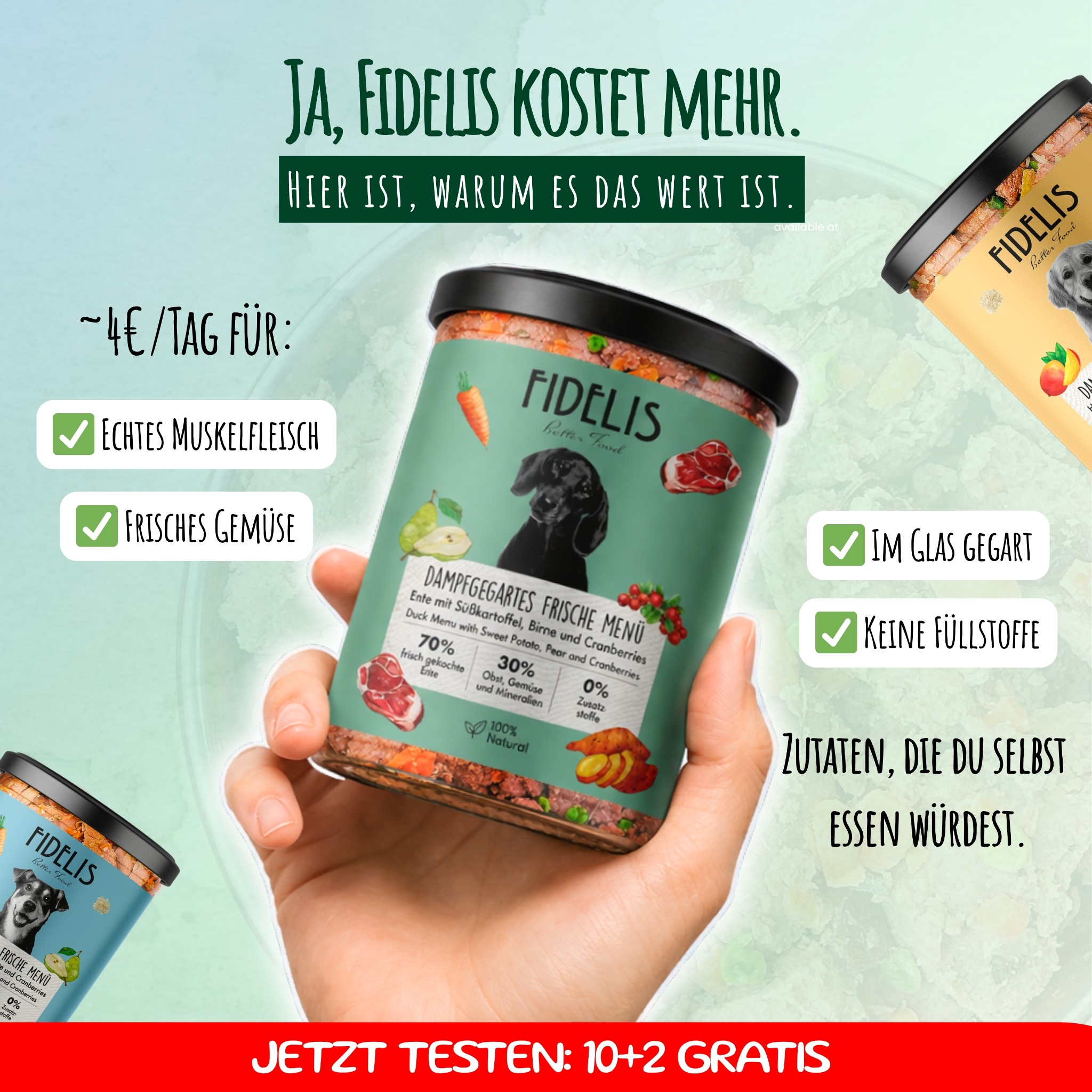 Fidelis.dog Facebook ad