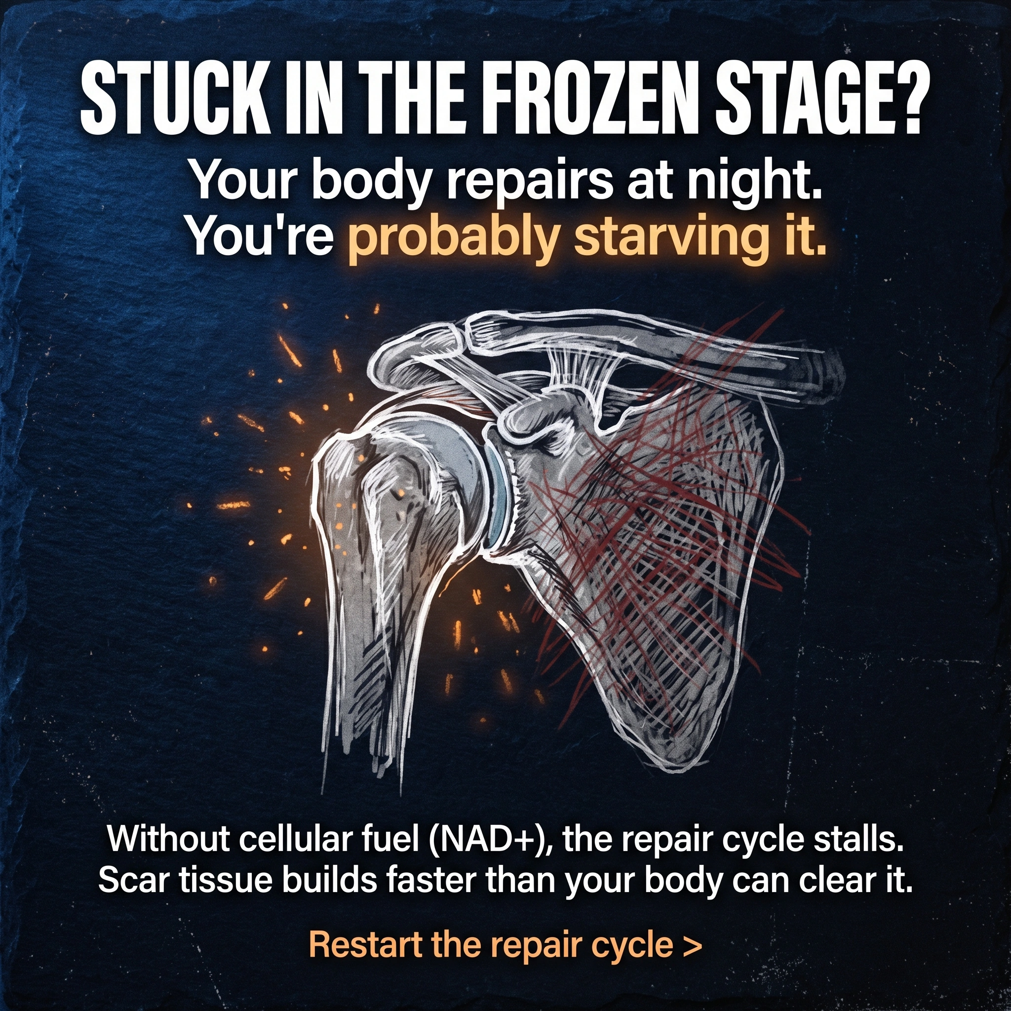 Menopause Diaries Facebook ad