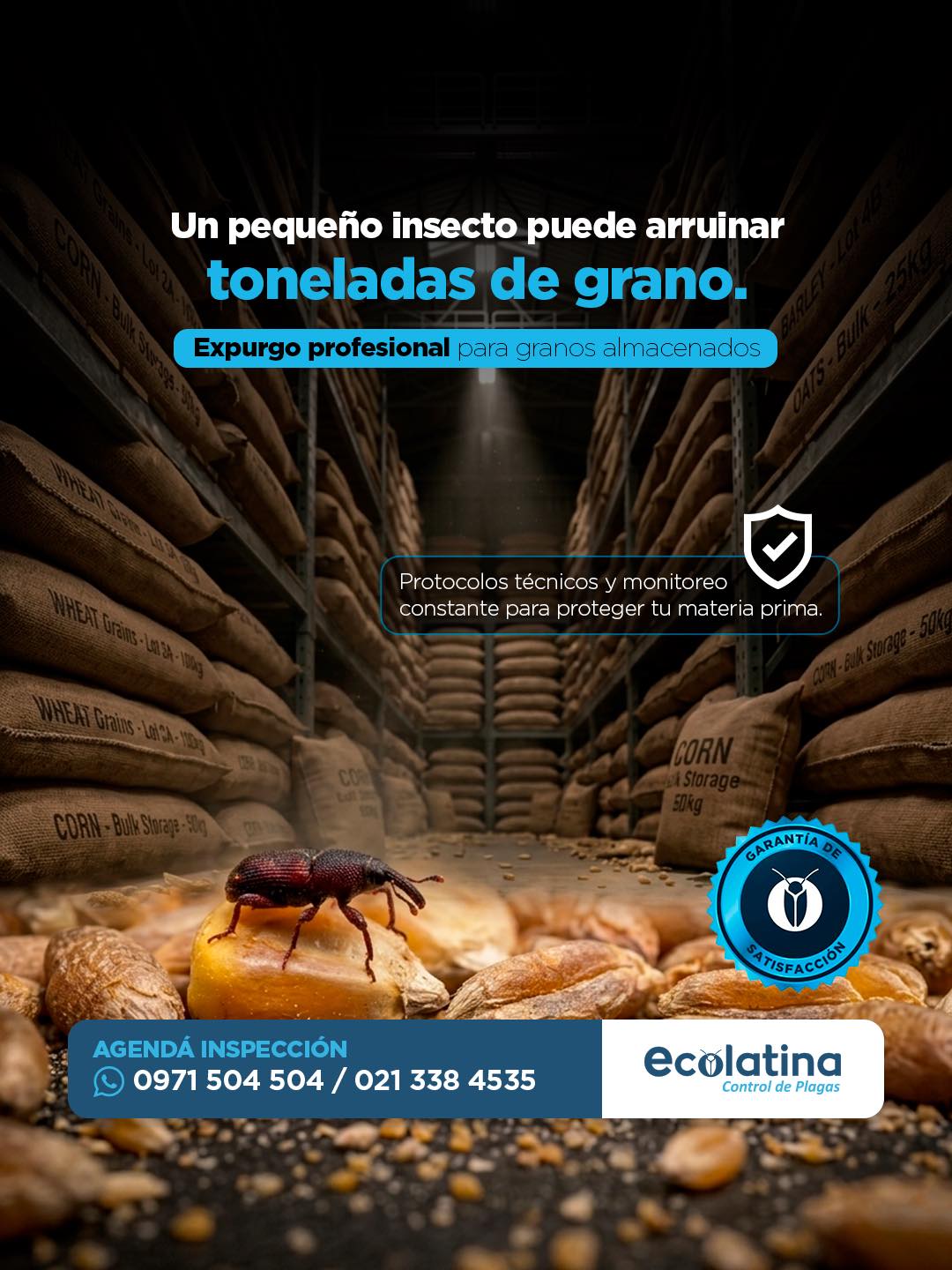Ecolatina Control de Plagas Facebook ad: Los insectos de almacenamiento pueden provocar