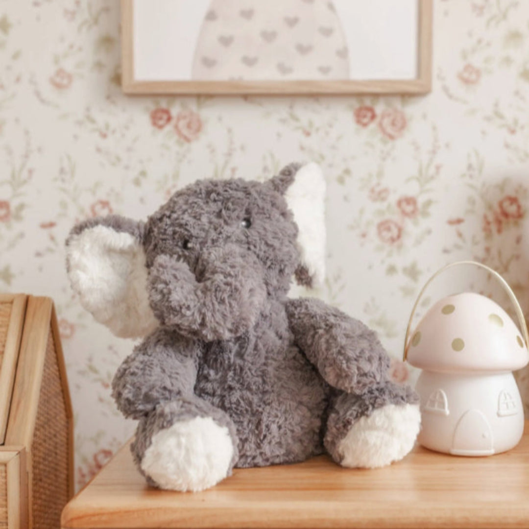 The Sensory Store NZ Facebook ad: Looking for the right sensory support?