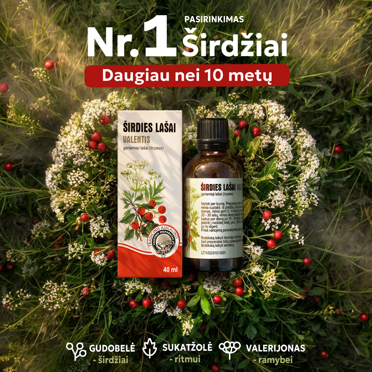 Širdis ir kraujotaka Facebook ad