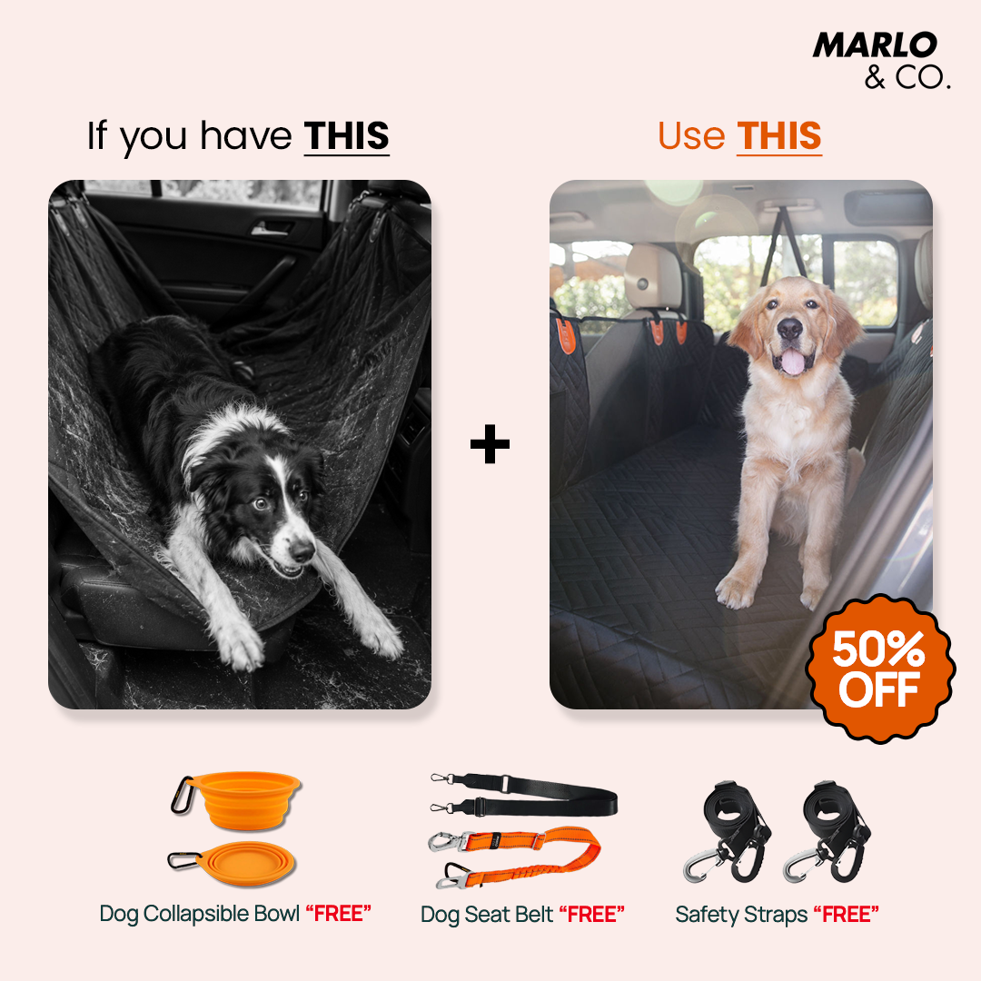 Marloandco Facebook ad