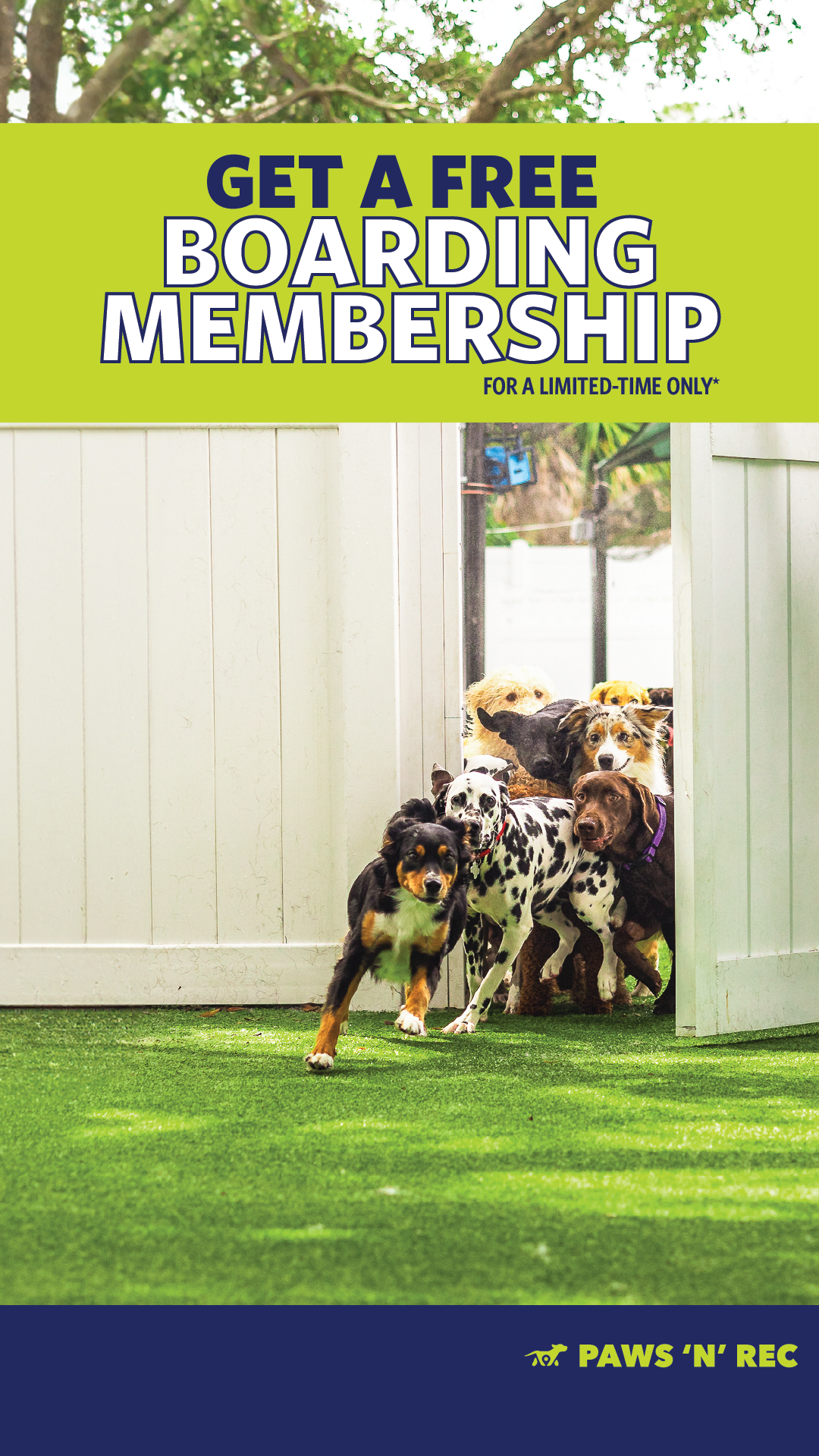 Paws 'n' Rec HQ Facebook ad