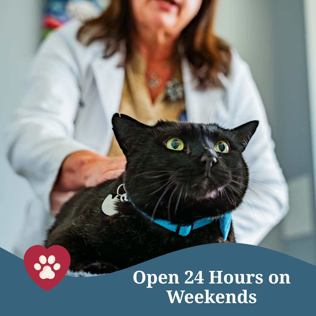 North Alabama Veterinary Emergency & Specialty Facebook ad: BIG NEWS! North Alabama Veterinary ER + Specialty…