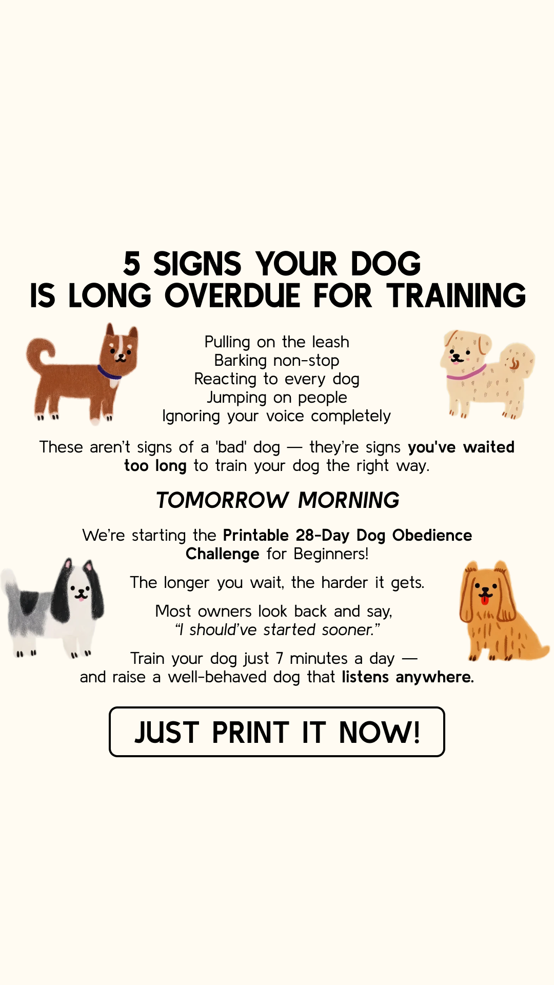 28 Day Dog Obedience Challenge Facebook ad