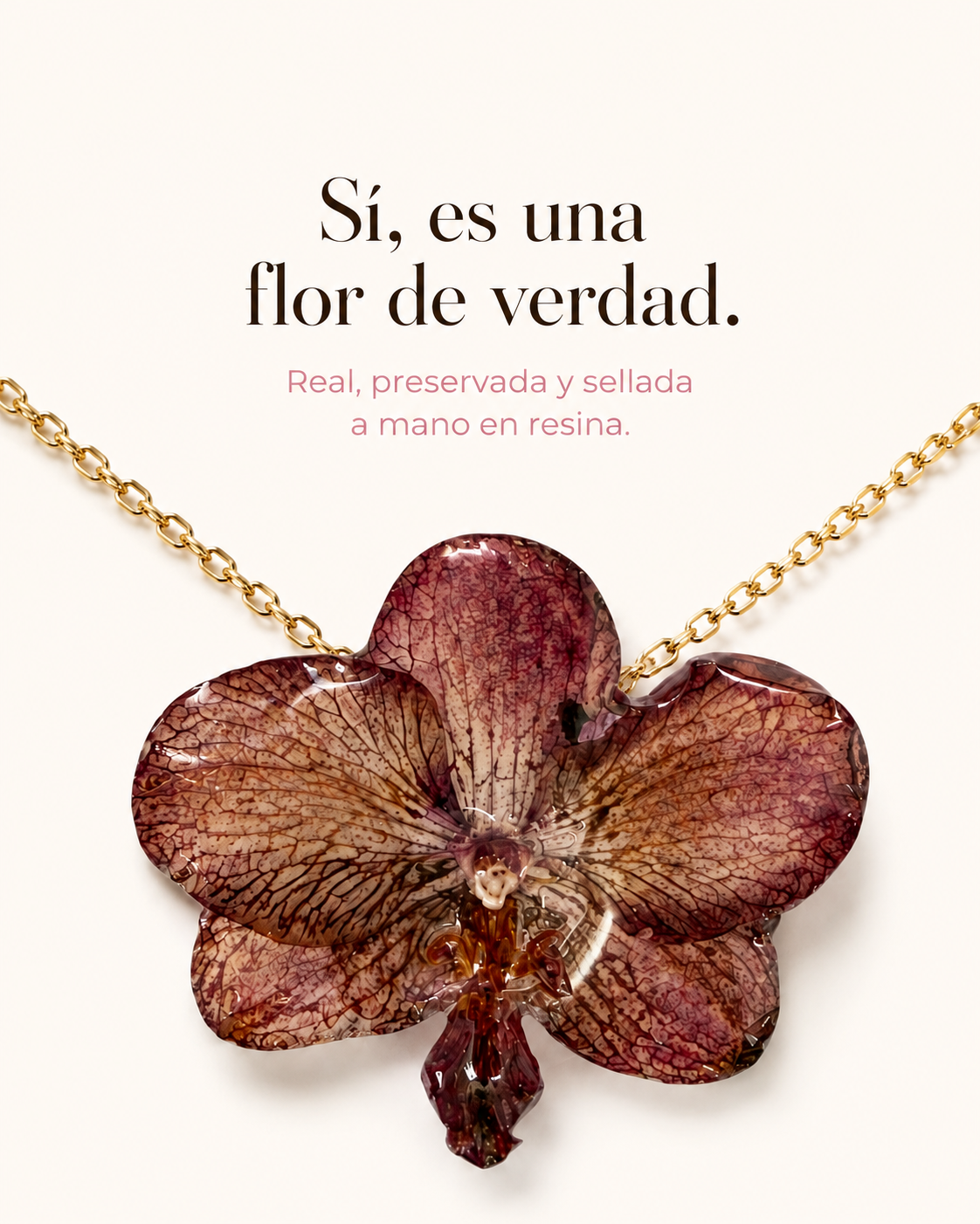 Eterna by Zahara Facebook ad: Una flor real que dura para siempre
