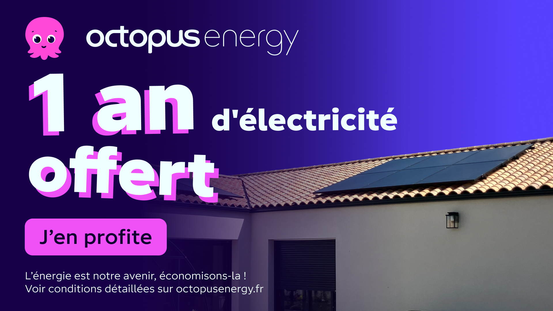 Octopus Energy Facebook ad
