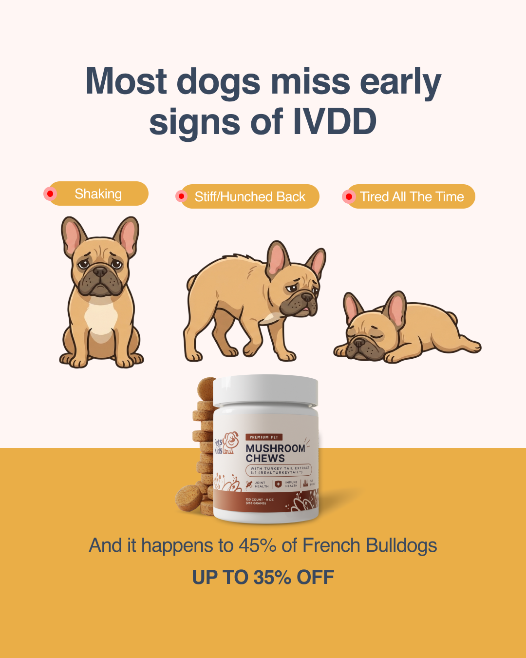 Pets Are Kids Facebook ad