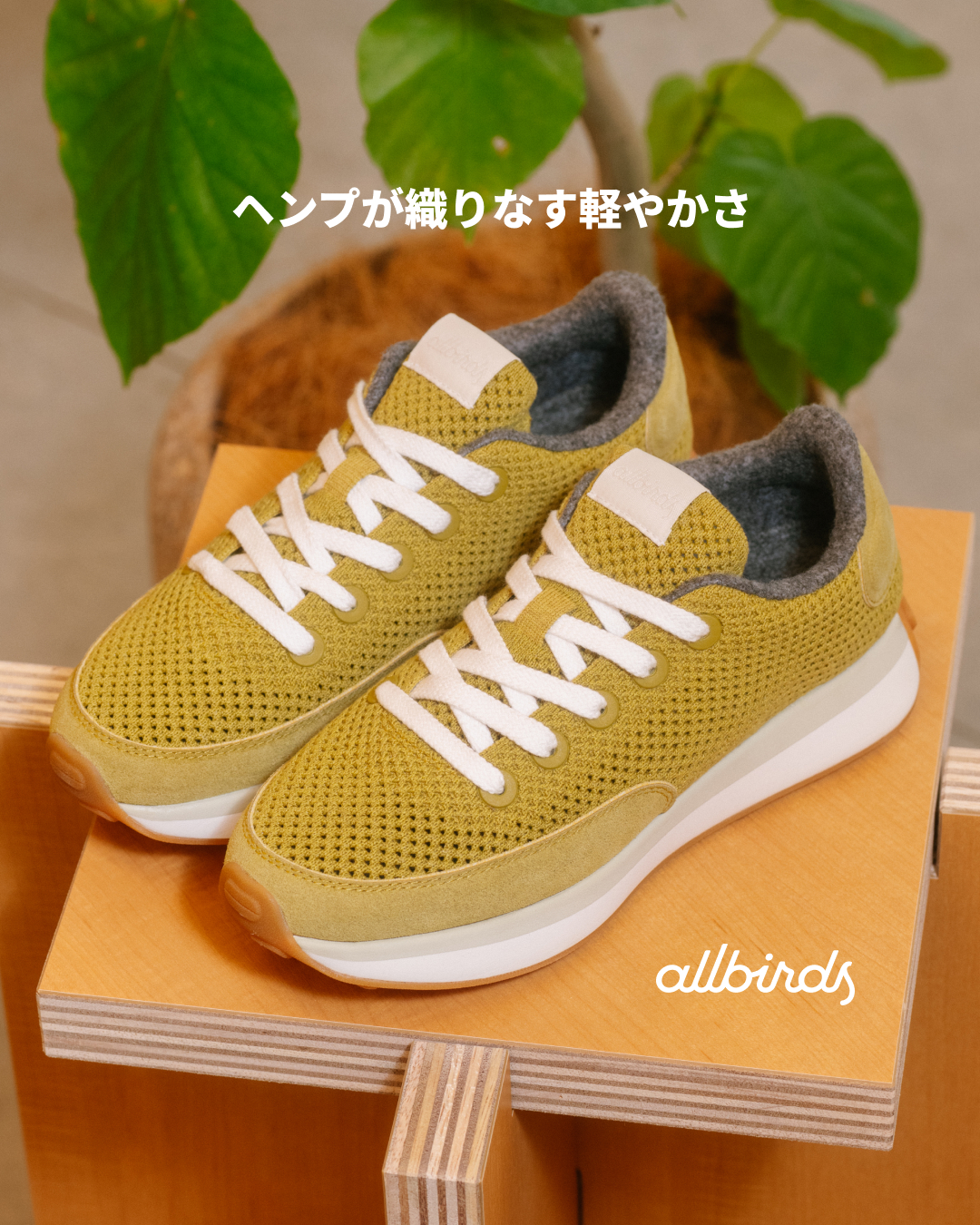 Allbirds Japan Facebook ad