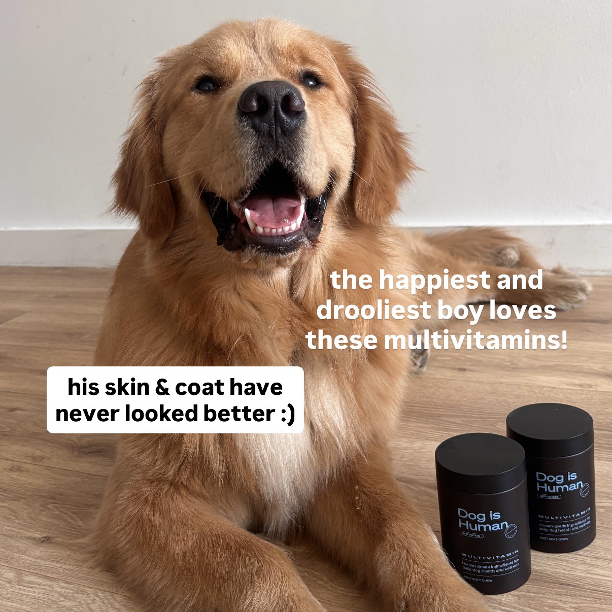 Dog is Human Facebook ad