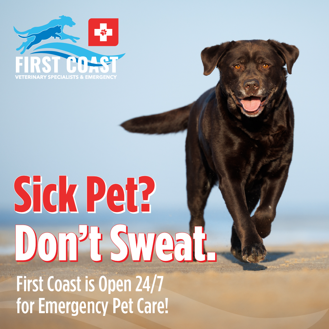 First Coast Veterinary Specialists & Emergency Facebook ad: Trusted ER Experts, 24/7