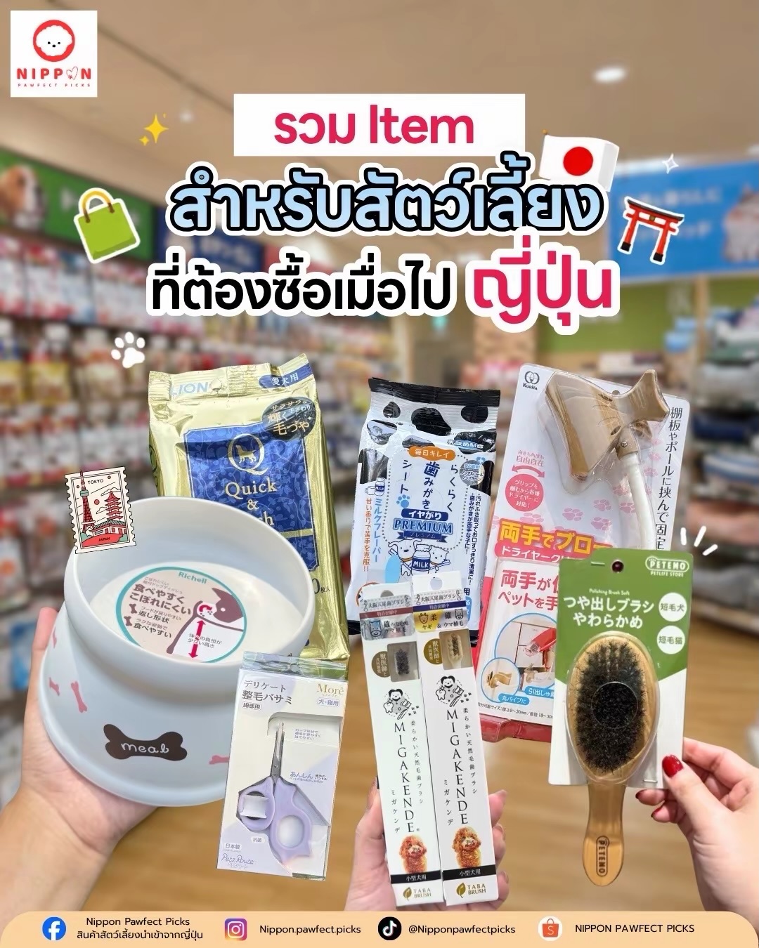Nippon Pawfect Picks สินค้าสัตว์เลี้ยงนำเข้าจากญี่ปุ่น Facebook ad: ของใช้สัตว์เลี้ยง ที่มาญี่ปุ่นแล้วต้องซื้อ