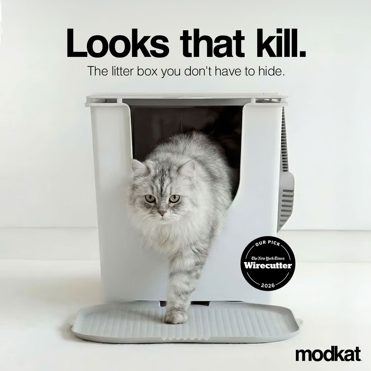 Modkat Facebook ad