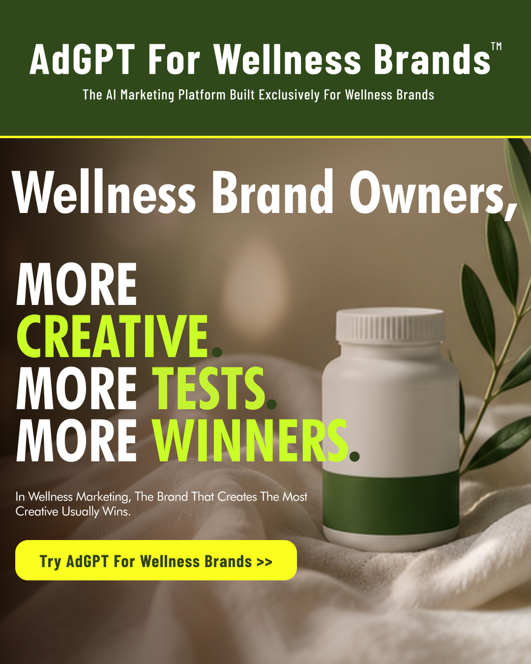 adgpt.com Facebook ad