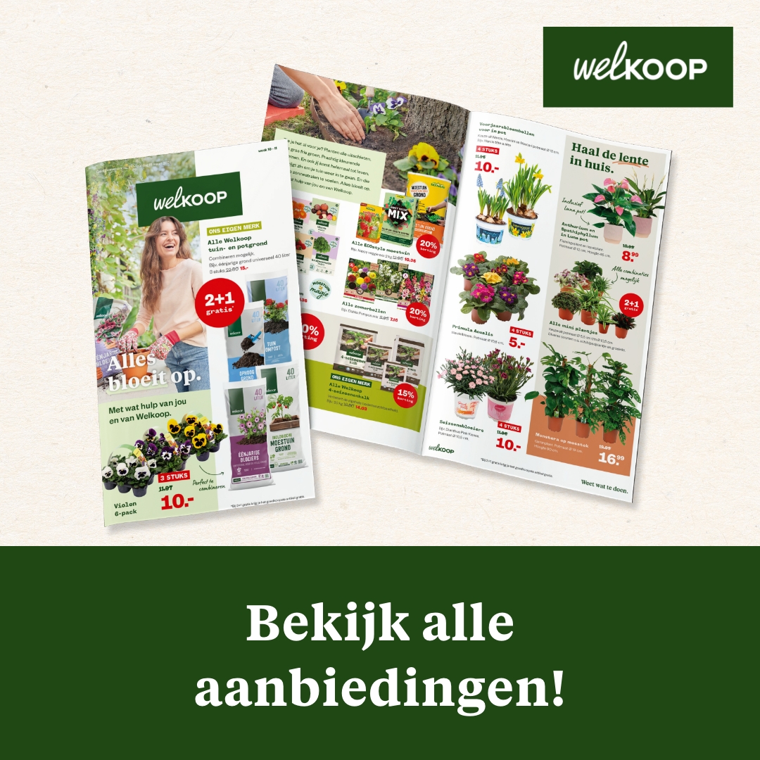 Welkoop Facebook ad