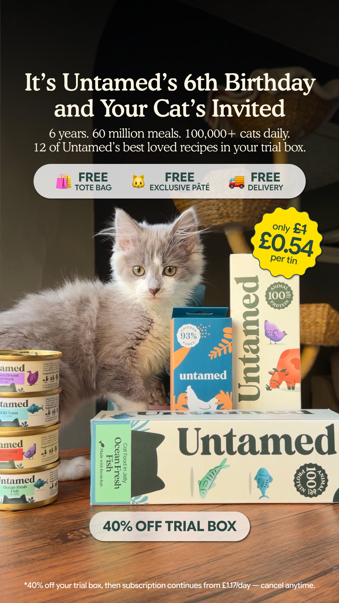 Mabel The Cat Lady Facebook ad from Jun 25, 2026