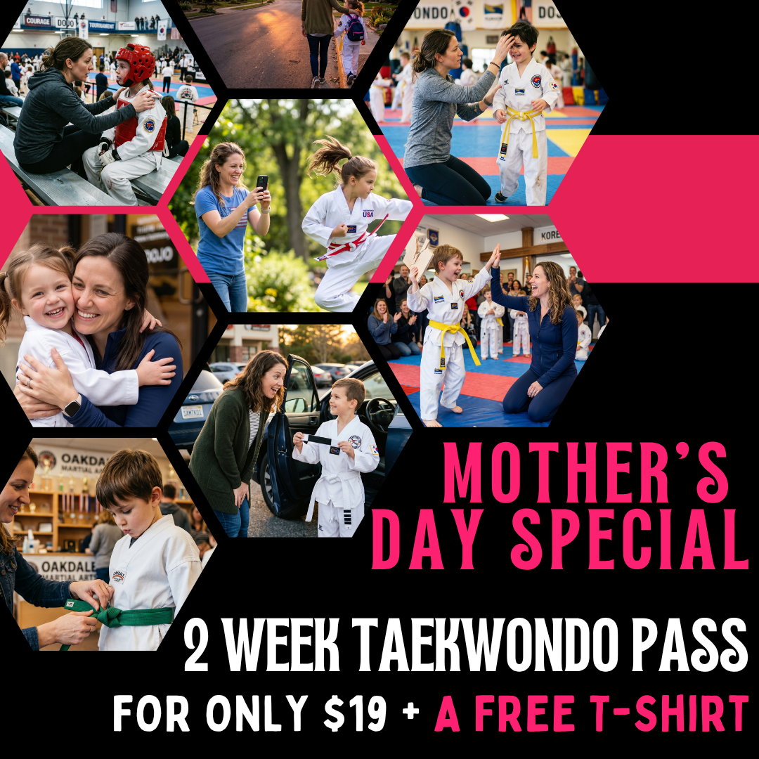 K Taekwondo - Pasadena Facebook ad